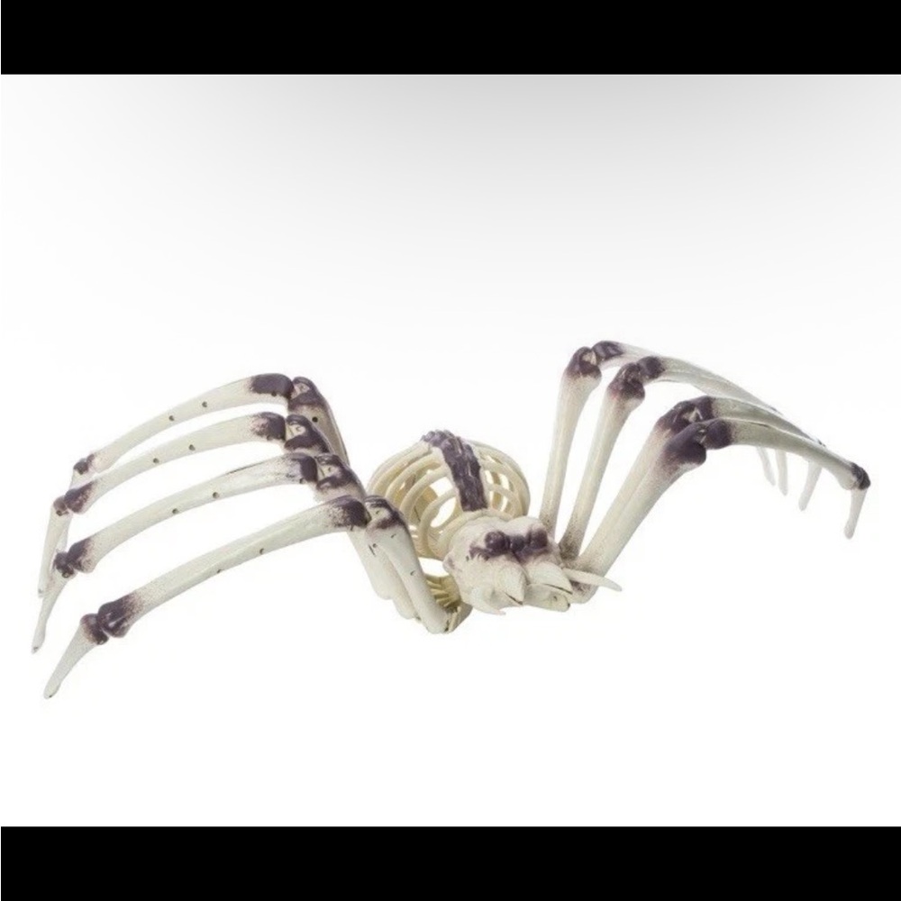 Giant Bone Spider Halloween Decor - Spooky Skeleton Insect Yard Prop